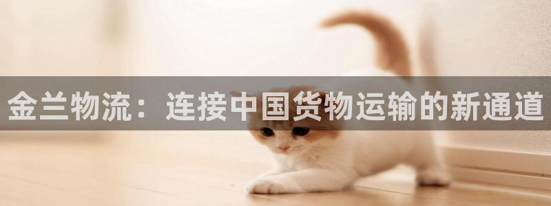 多多28官网开奖结果预测：金兰物流：连接中国货物运输的新通道