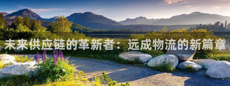 多多28里的财神：未来供应链的革新者：远成物流的新篇章