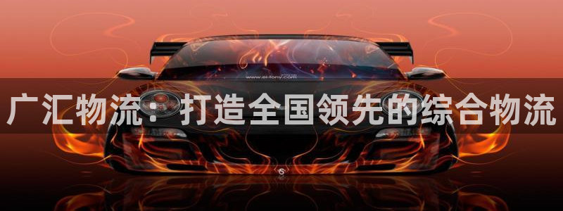 多多28加拿大预测：广汇物流：打造全