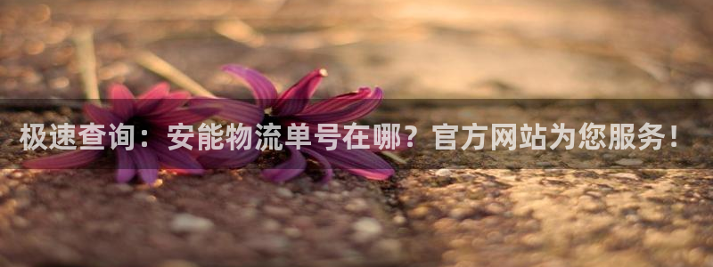 多多28百度百科：极速查询：安能物流