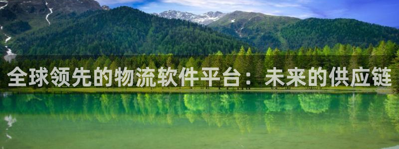 多多28注册：全球领先的物流软件平台