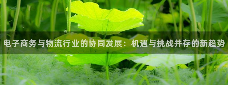 多多28怎么下载教程：电子商务与物流