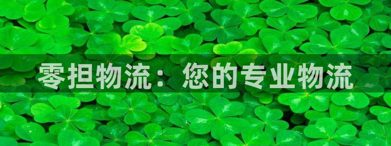 多多28游戏官网入口：零担物流：您的