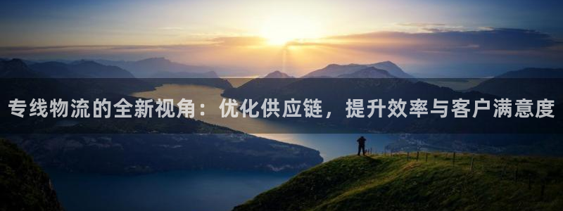 多多28：专线物流的全新视角：优化供