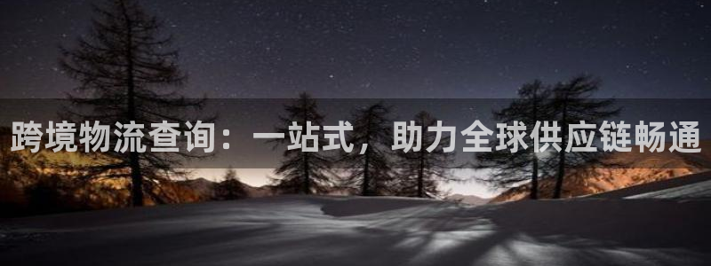 多多28注册链接：跨境物流查询：一站式，助力全球供应链畅通