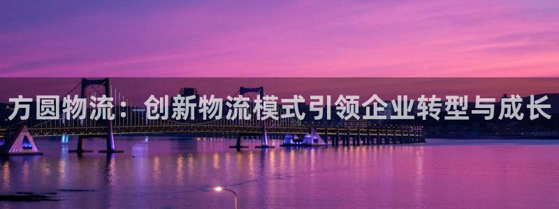 多多28注册教程：方圆物流：创新物流模式引领企业转型与成长