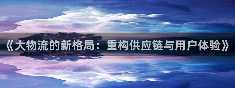 多多28模拟器：《大物流的新格局：重