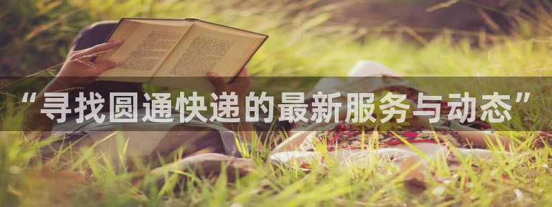 多多28是干嘛的：“寻找圆通快递的最