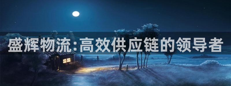 多多28充值不到账怎么回事：盛辉物流:高效供应链的领导者