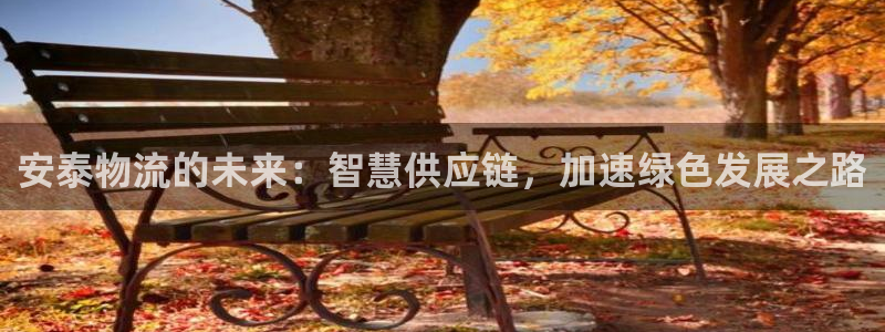 多多28忘记账号：安泰物流的未来：智