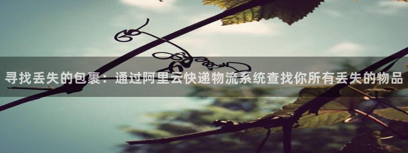 多多28推广链接是多少钱一个：寻找丢