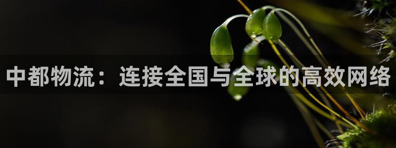 多多28分分28预测：中都物流：连接