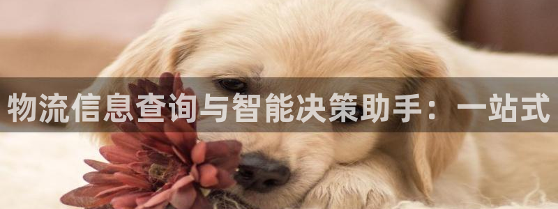 多多28流水怎么算：物流信息查询与智