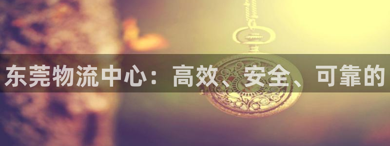 多多28选28ng官网：东莞物流中心
