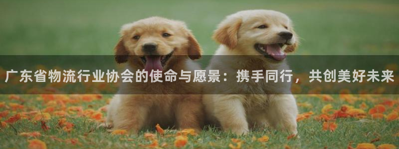 加拿大多多28是什么