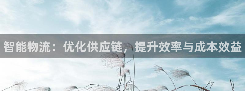 加拿大多多28数字规则：智能物流：优