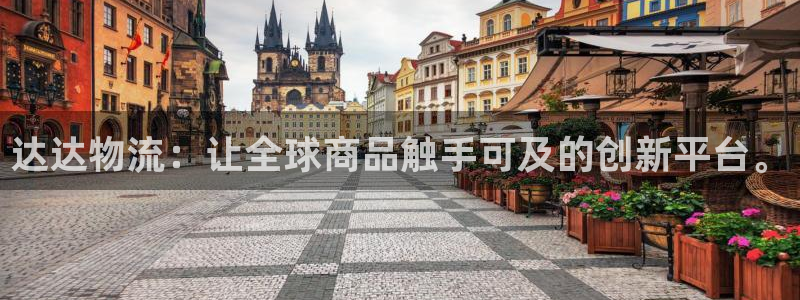 多多28头像：达达物流：让全球商品触