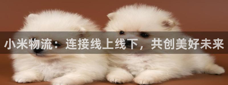 多多28账号注册:小米物流:连接线上