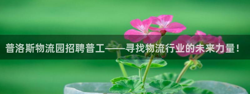 多多28推广链接是多少:普洛斯物流园