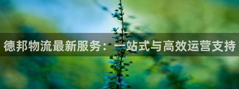 多多28怎么注册账号和密码:德邦物流