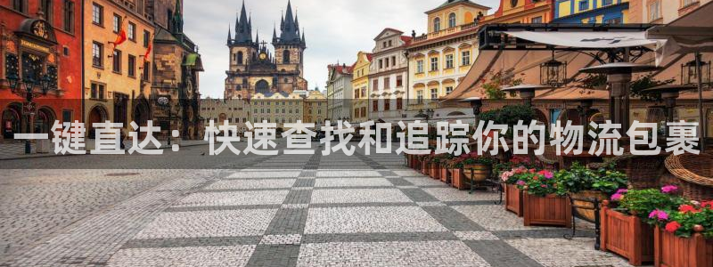 多多28下载链接是多少：一键直达：快速查找和追踪你的物流包裹