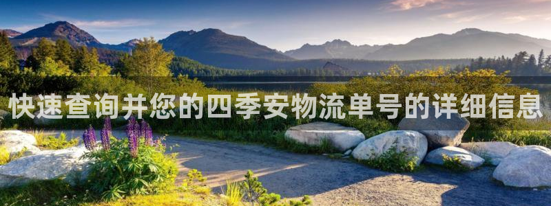 多多28加拿大能提现吗:快速查询并您