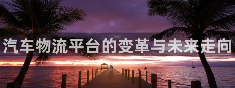 多多28链接来一个:汽车物流平台的变