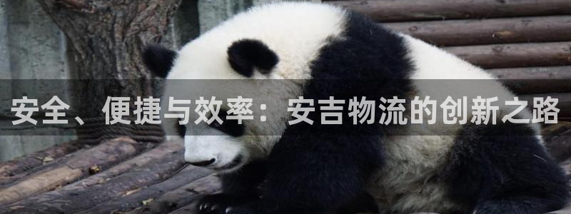 多多28官网入口官网：安全、便捷与效