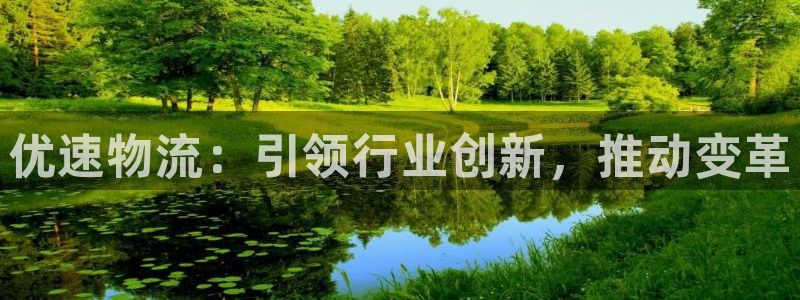 多多28提现未达5期是什么意思:优速