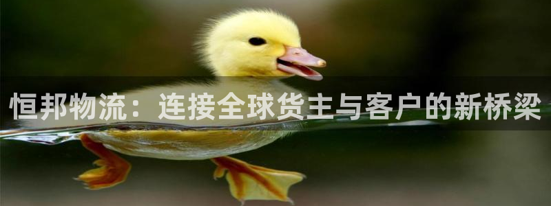 多多28链接：恒邦物流：连接全球货主与客户的新桥梁